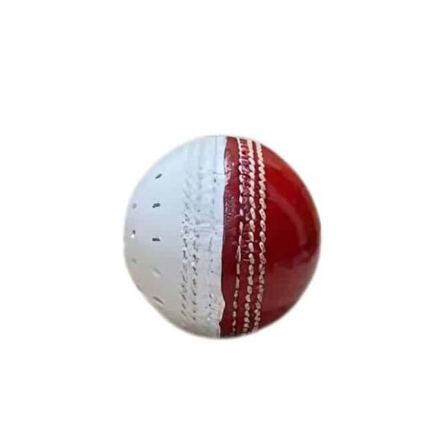 Cricket Swing Ball Leather (Pack of 6)